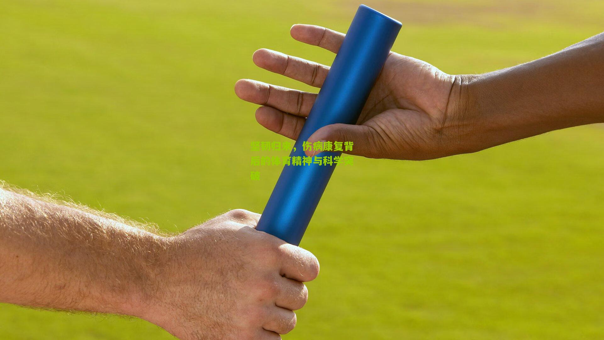 坚韧归来，伤病康复背后的体育精神与科学突破